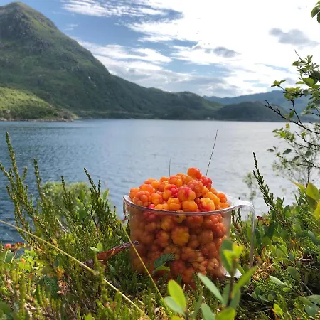 Lofoten Og Vesteralen. Kveldro I Raftsundet * Myrland